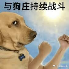 老铁们，昨晚直接给大家表演了一个“完美避开正确答案”，菲尔特、圣埃蒂安、弗拉门戈