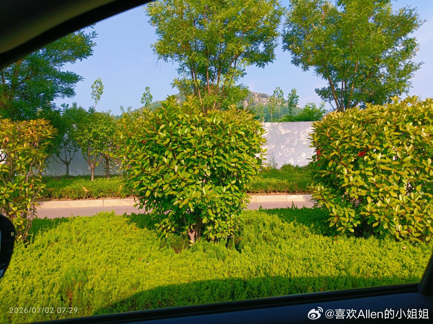 早上好路上风光满目秀丽，奈何步履匆匆，无心驻足赏景。 