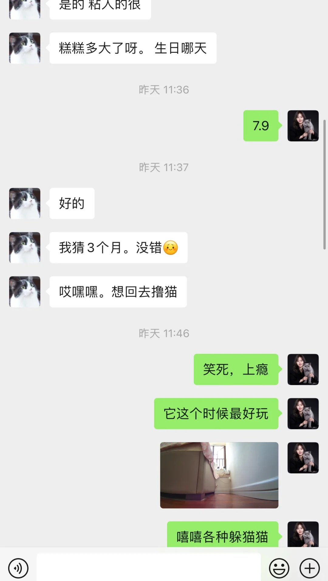 去新家做个妲己喵😁😁