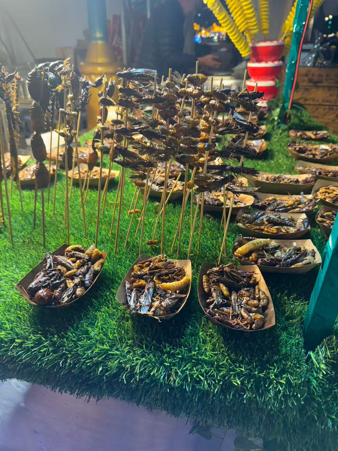 朋友去云南旅游在吃虫子 