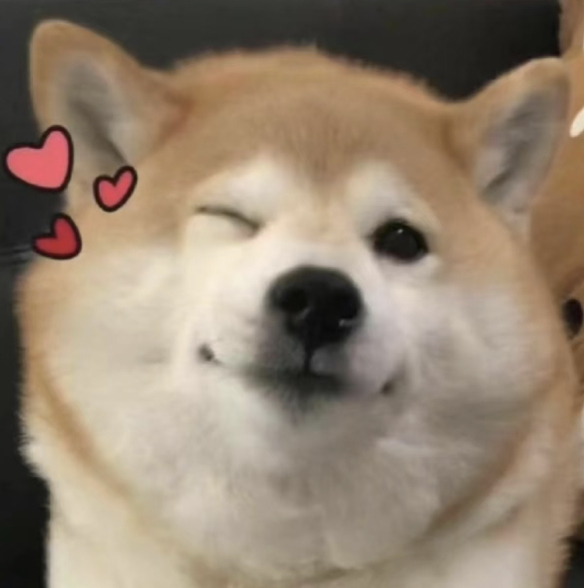 知道春熙路的爷是谁全网沉默了 春熙路的爷来了，这标语太抽象，四川人闻风赶来，连狗