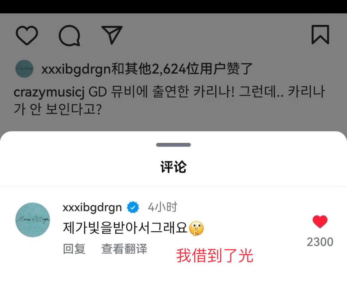 权志龙在黑粉下面维护柳智敏：我借到了光✨ 