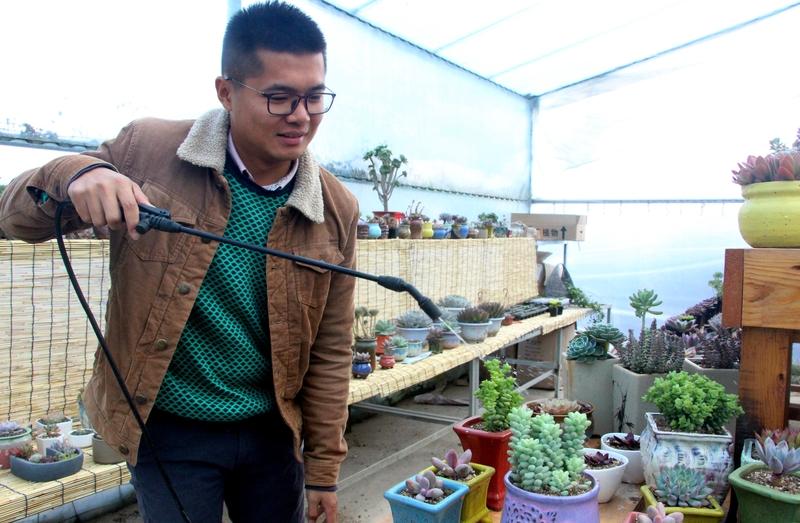 阳台养花，选对花很重要。光照充足的南向阳台，月季、太阳花、矮牵牛是首选。月季花期