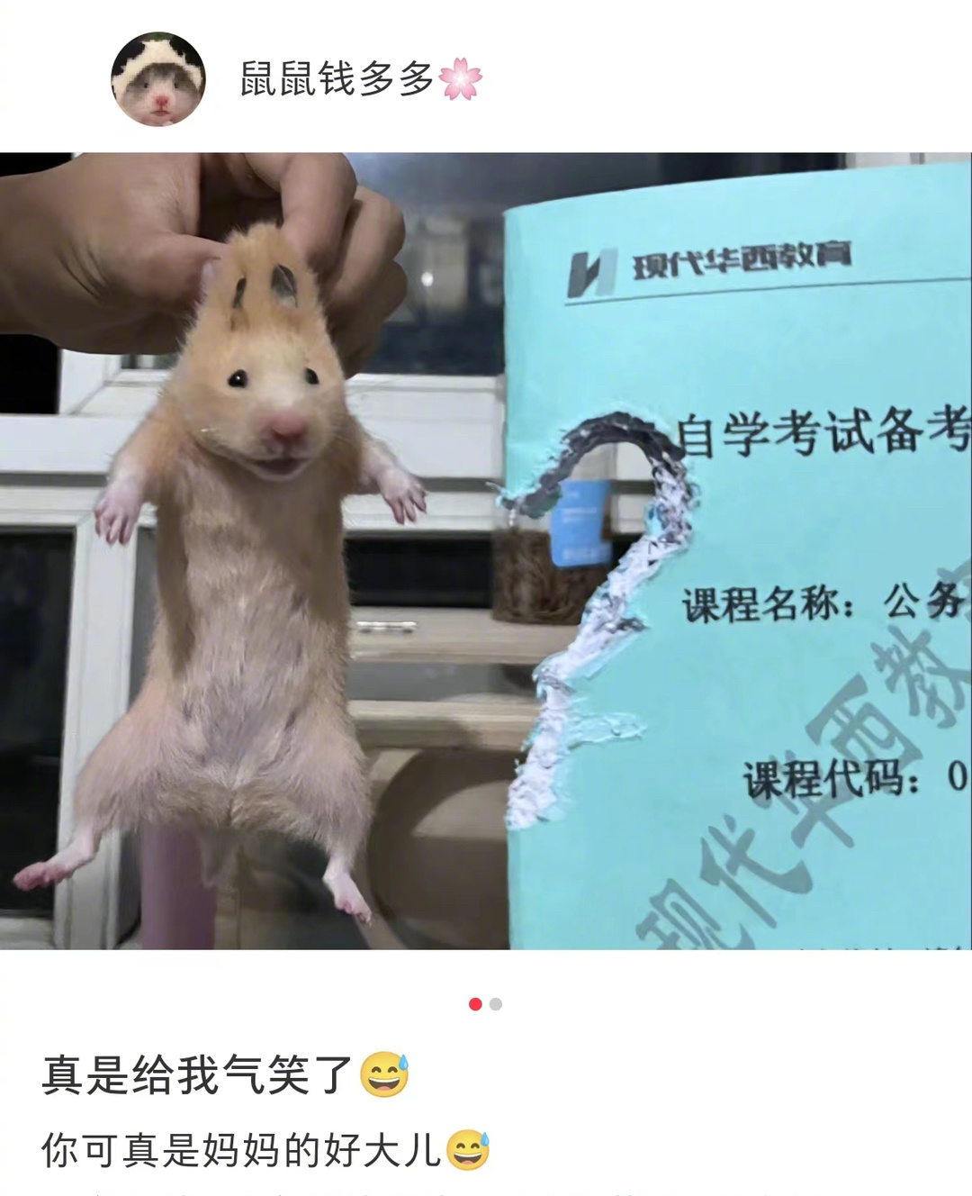 鼠鼠只是想送你个心心 ​​​