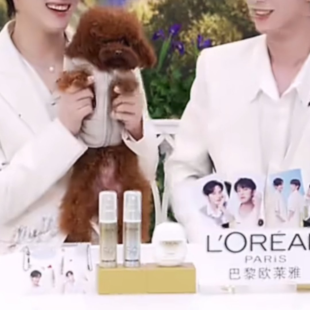 你好，这里禁止甩狙🚫 