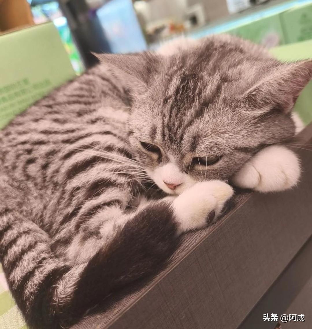 我听某人说，有些女人的心思很矛盾，既不想主动讲出来，又怕男人永远不懂自己的心，可