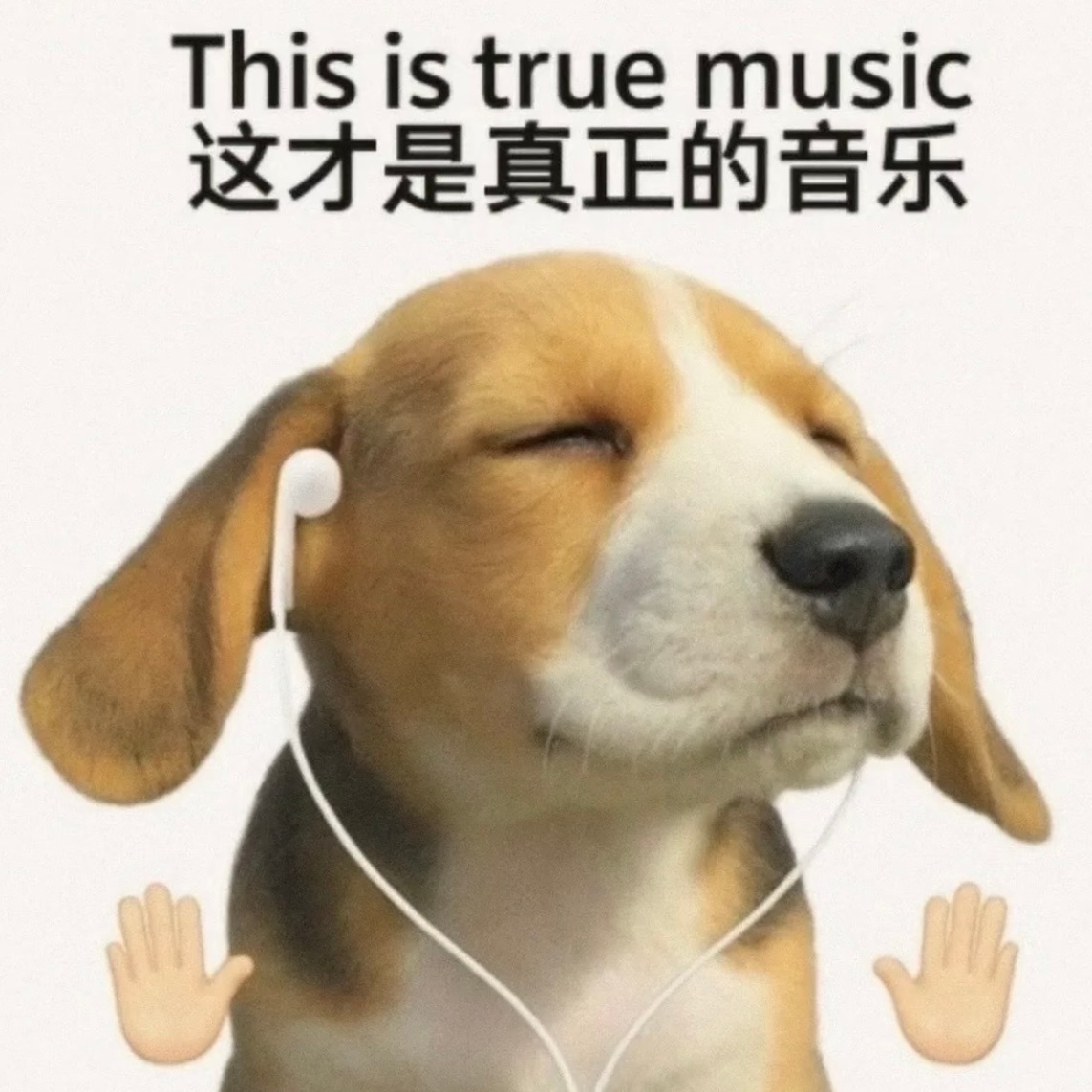 太好听了呜呜 这就是音乐啊 