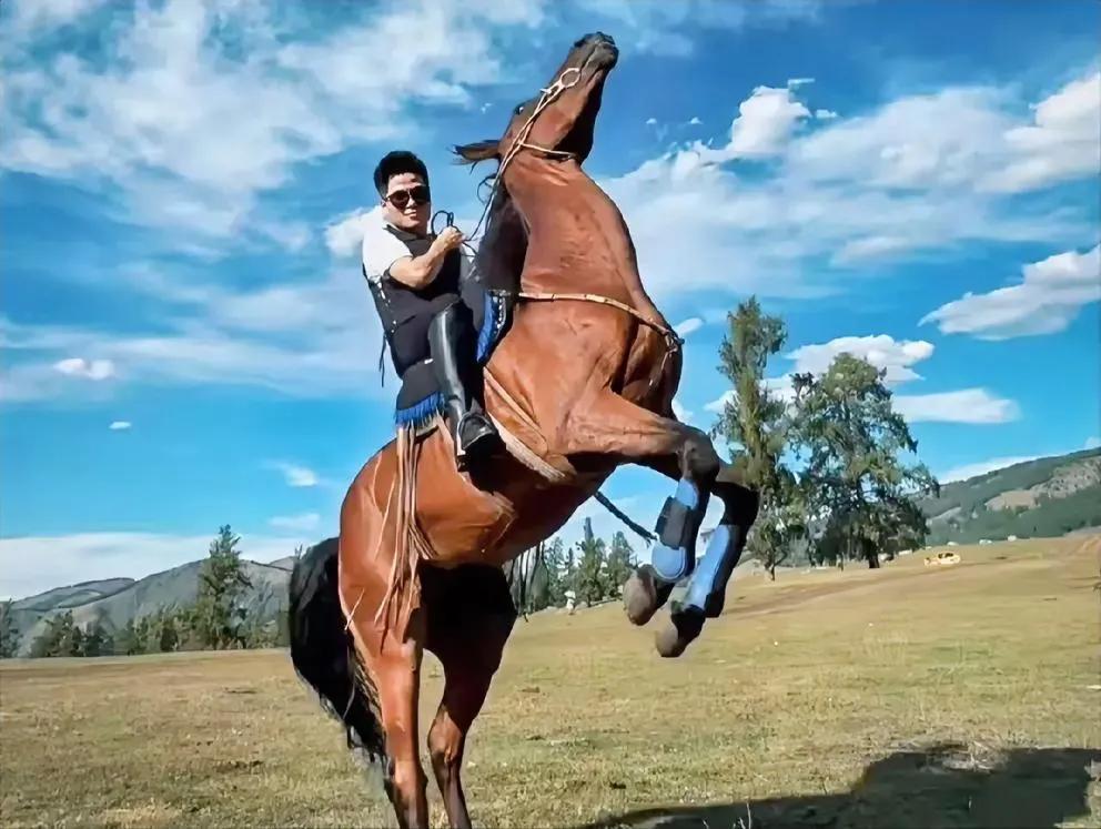 董宇辉大马雄壮威猛，老头这马瘦老无神，好应景当下，时代终归是年轻人的时代，老骥伏