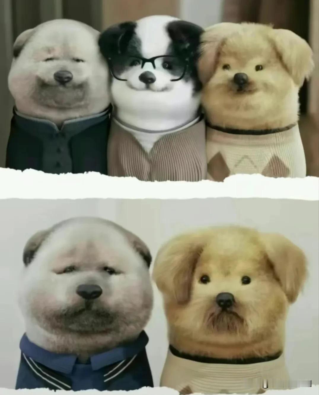 莫言史铁生余华