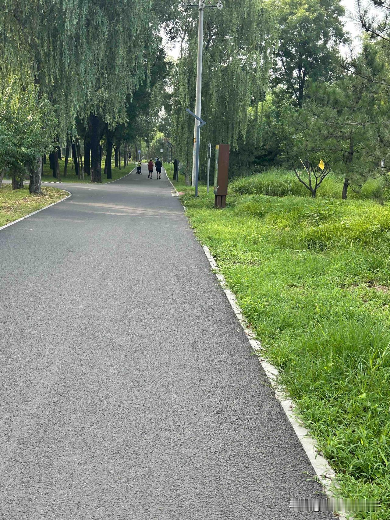 北京这几天真是热

北京这几天是桑拿天，副高+暖湿气流，又闷又热，下雨也降不下温