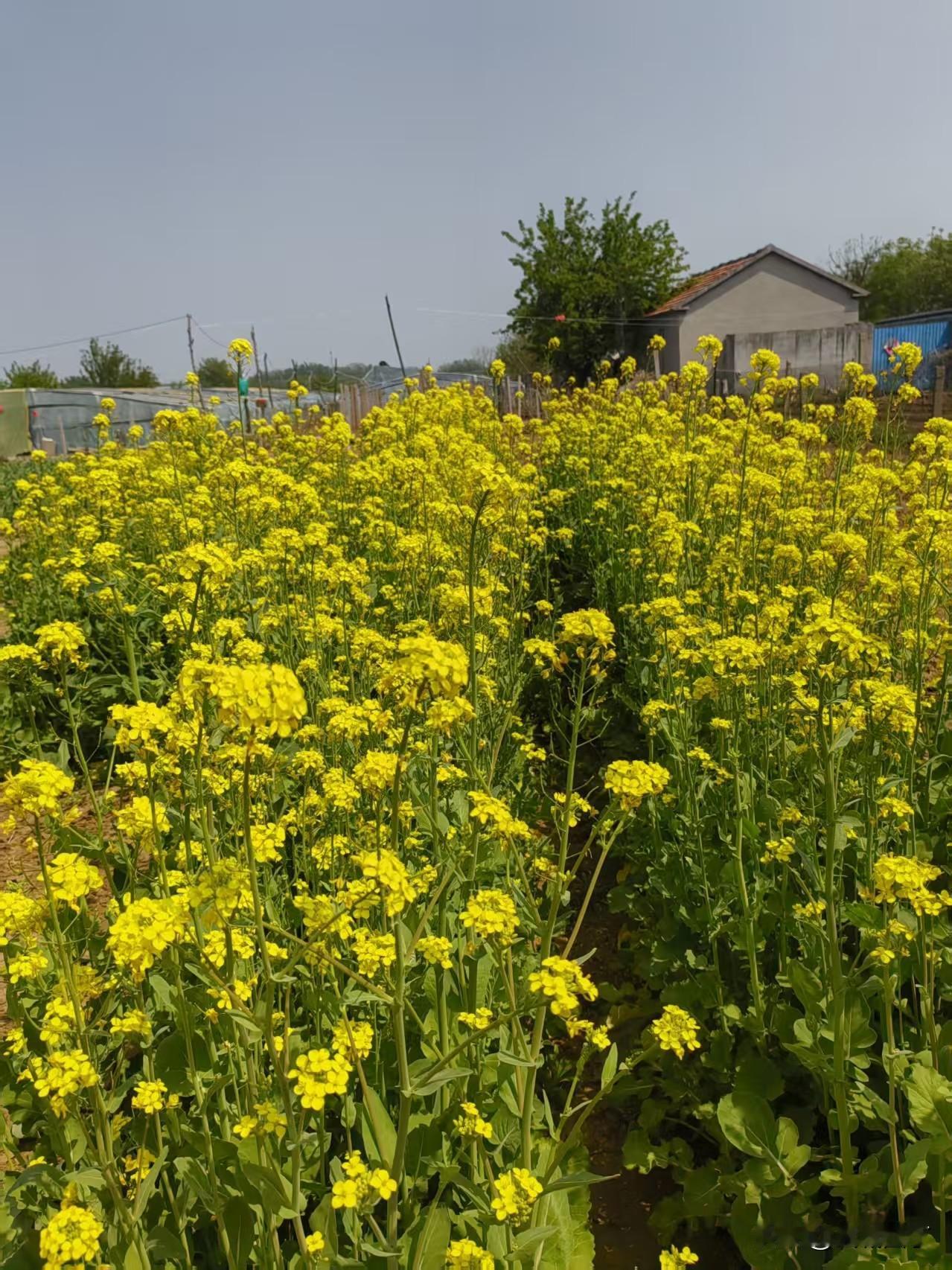 山东的@烟花三月的小唯 让我又一次意识到了我的欲望无止境，恐惧和欲望是痛苦的根源
