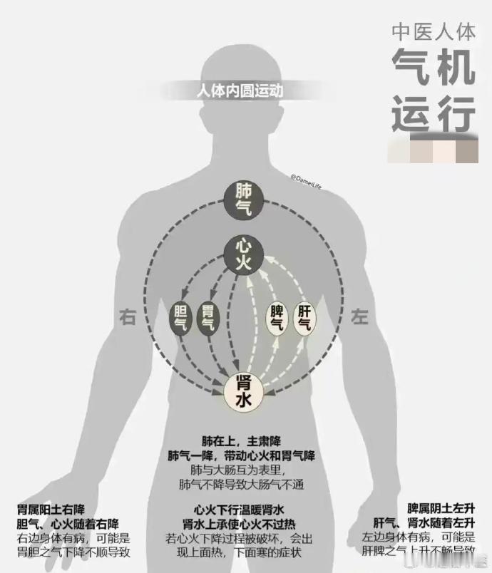 一图看懂：气机，在体内是如何运行的？ 