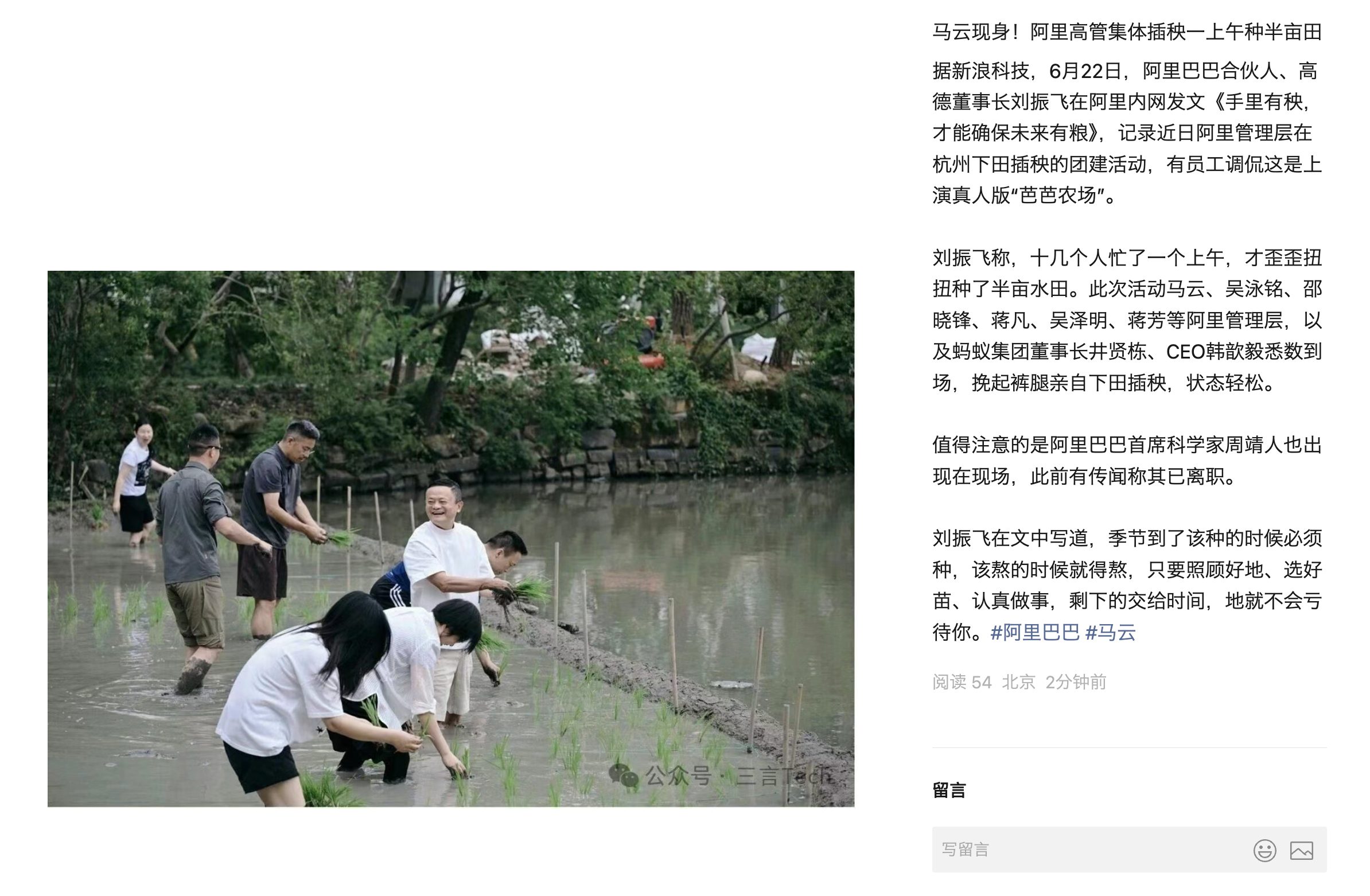 真人版芭芭农场，马云带着阿里巴巴集团合伙人们下田插秧 