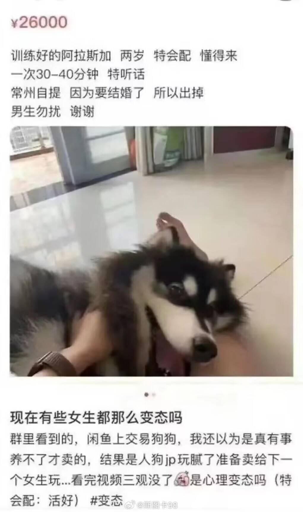 有女子在闲鱼卖二手狗，看到只限女性购买还有点奇怪，看到：特会配，懂的来，每次30