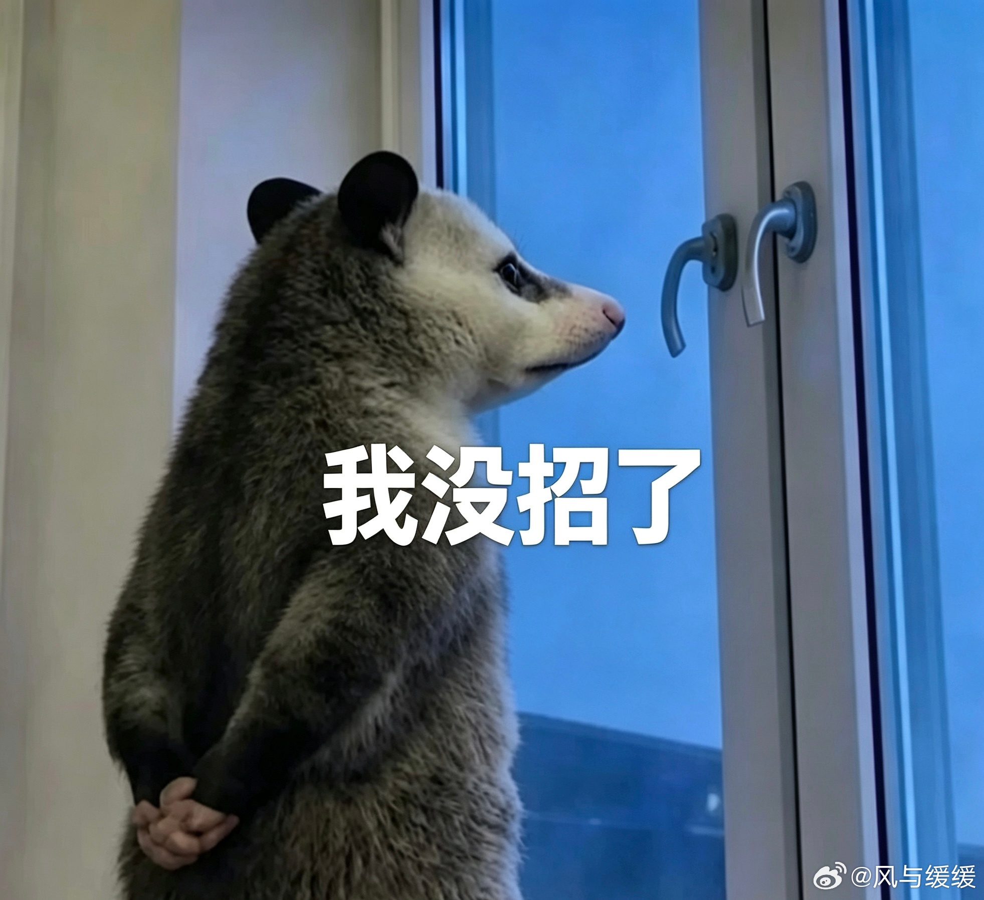 人一旦染上减肥才知道有多爽爽？只记得晚上饿的时候真想吃进去一头牛到底怎么染上减肥