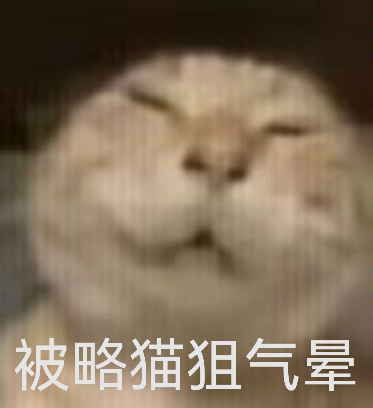 弄龙虾弄得猪脑过载了