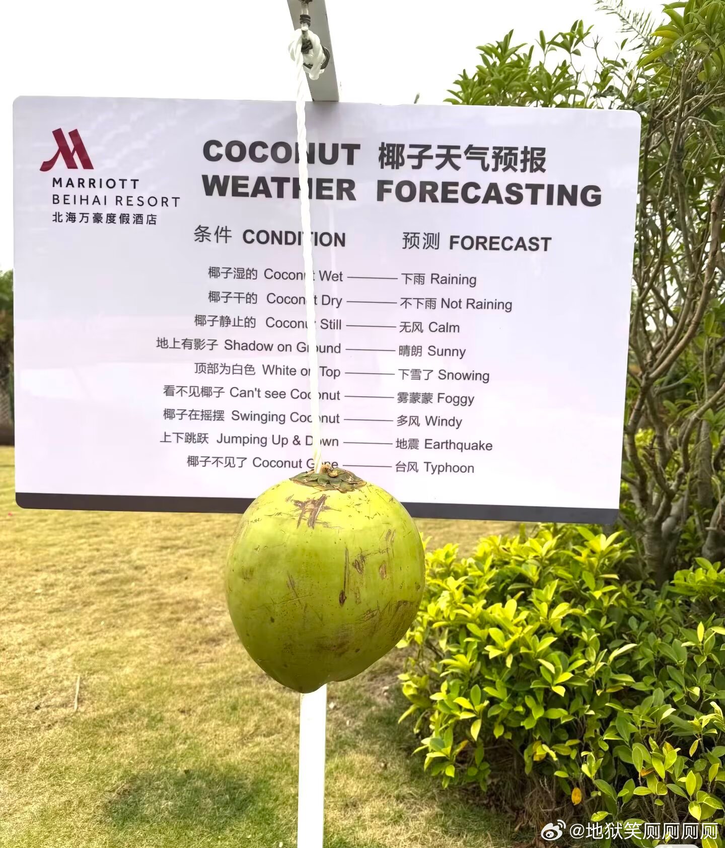 1793还是高科技椰 