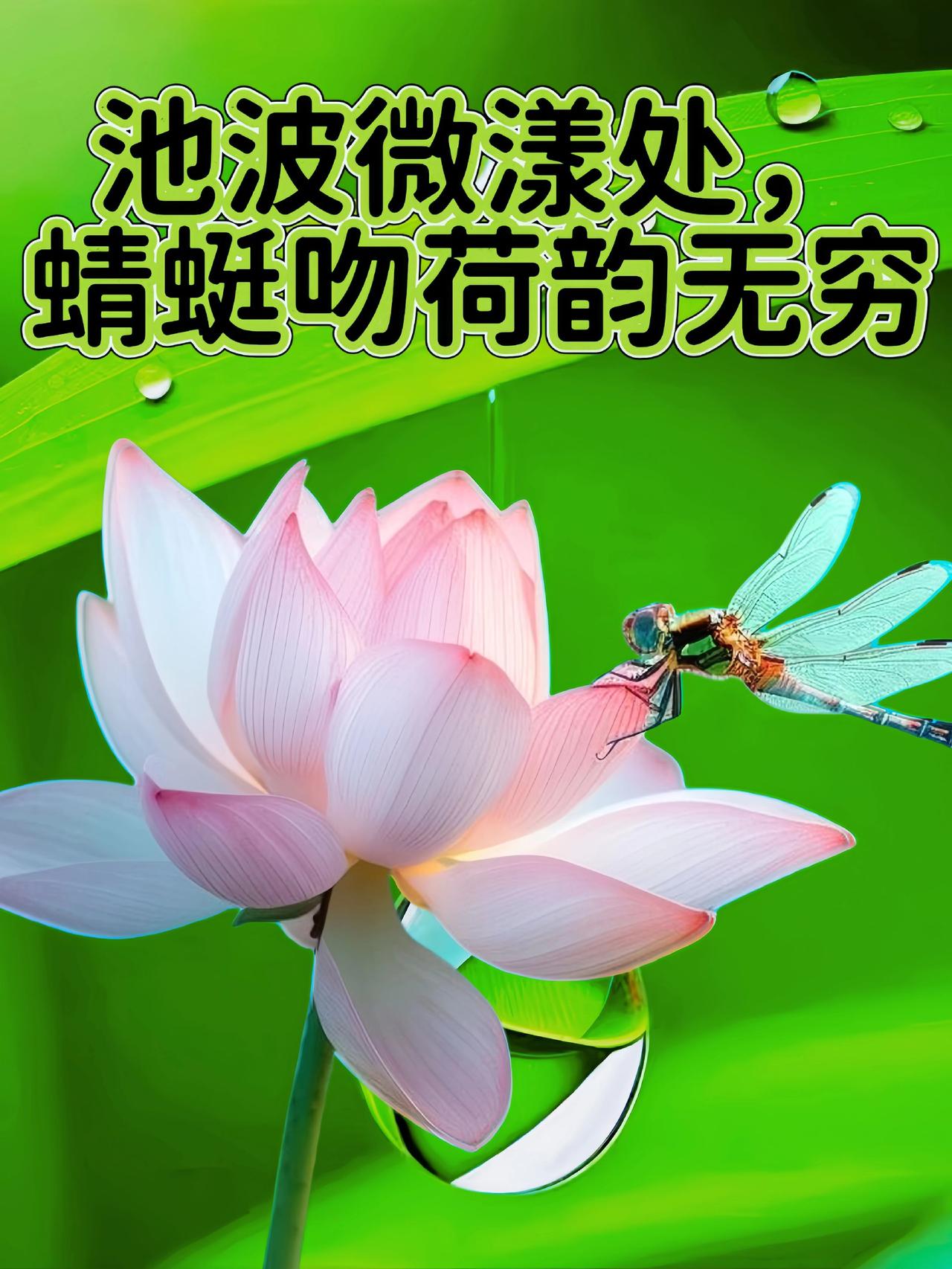 上热门上热搜 支持抖音传播正能量 创作者扶持计划 抖音推广