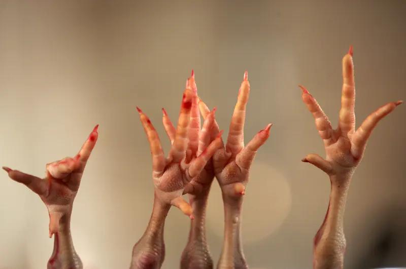 315曝光的鸡爪公司股东也在看晚会 315晚会上曝光鸡爪公司的这事儿太讽刺了！被