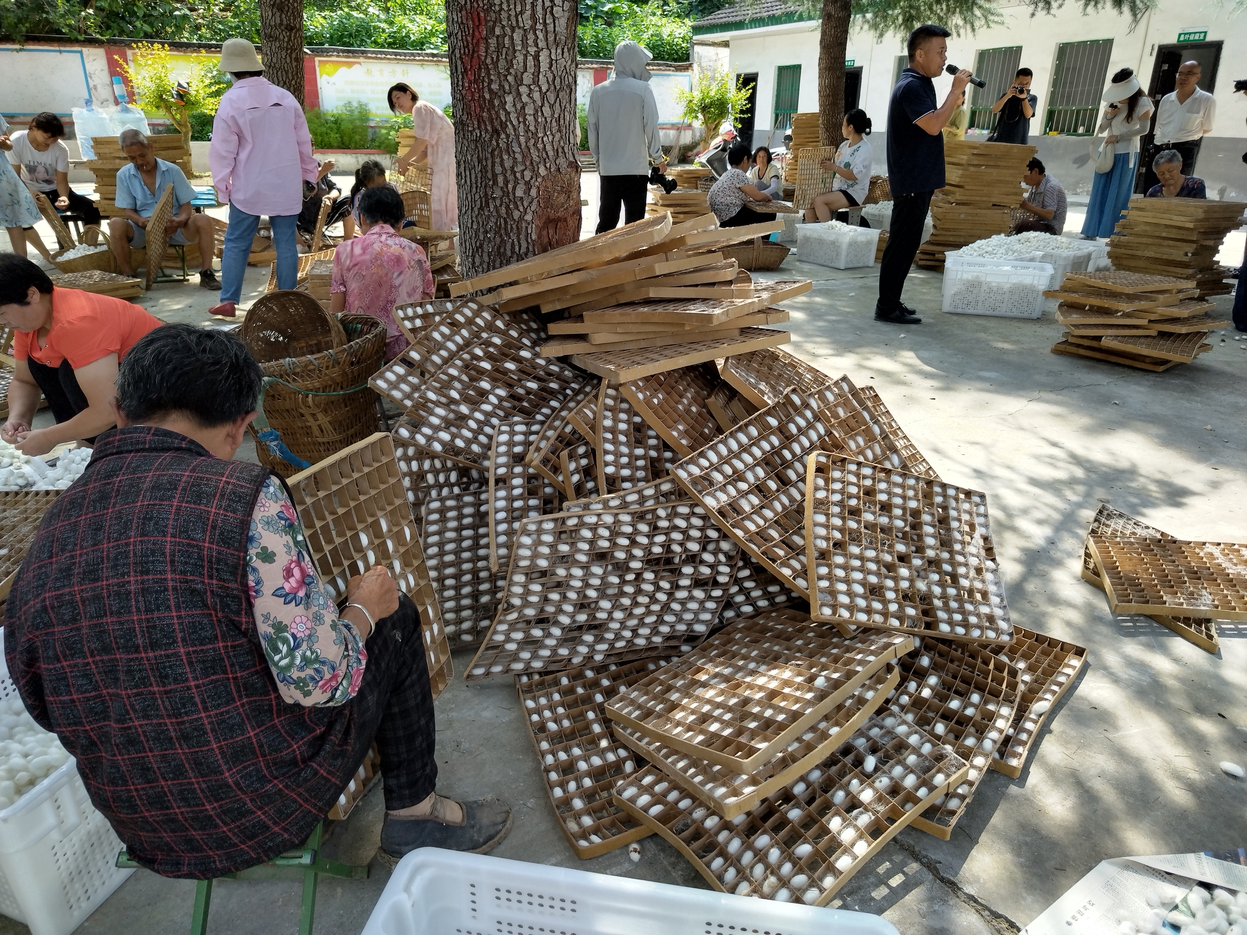 鎏金铜蚕 声动石泉 “石泉蚕丝”，国家地标产品，还入选了中欧地理标志协定保护名录