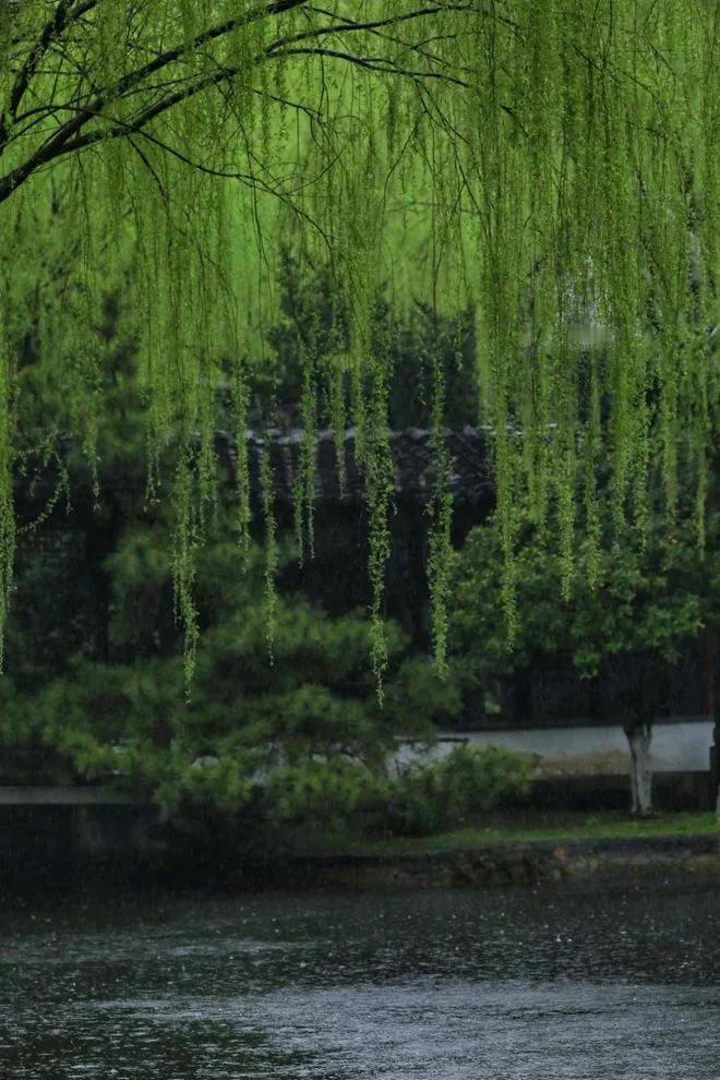 #上联：冬去千山秀，诚邀下联#

冬去千山秀，
春来万木青。