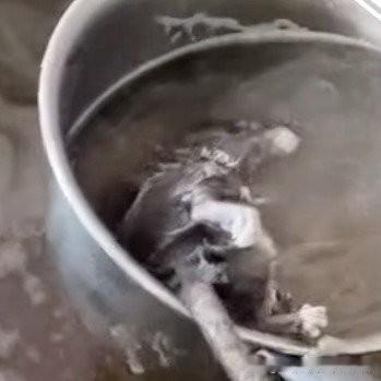 早餐汤里捞出死老鼠！脚都熬白了，在外吃饭这3招护好肠胃
 
12月25号广西百色