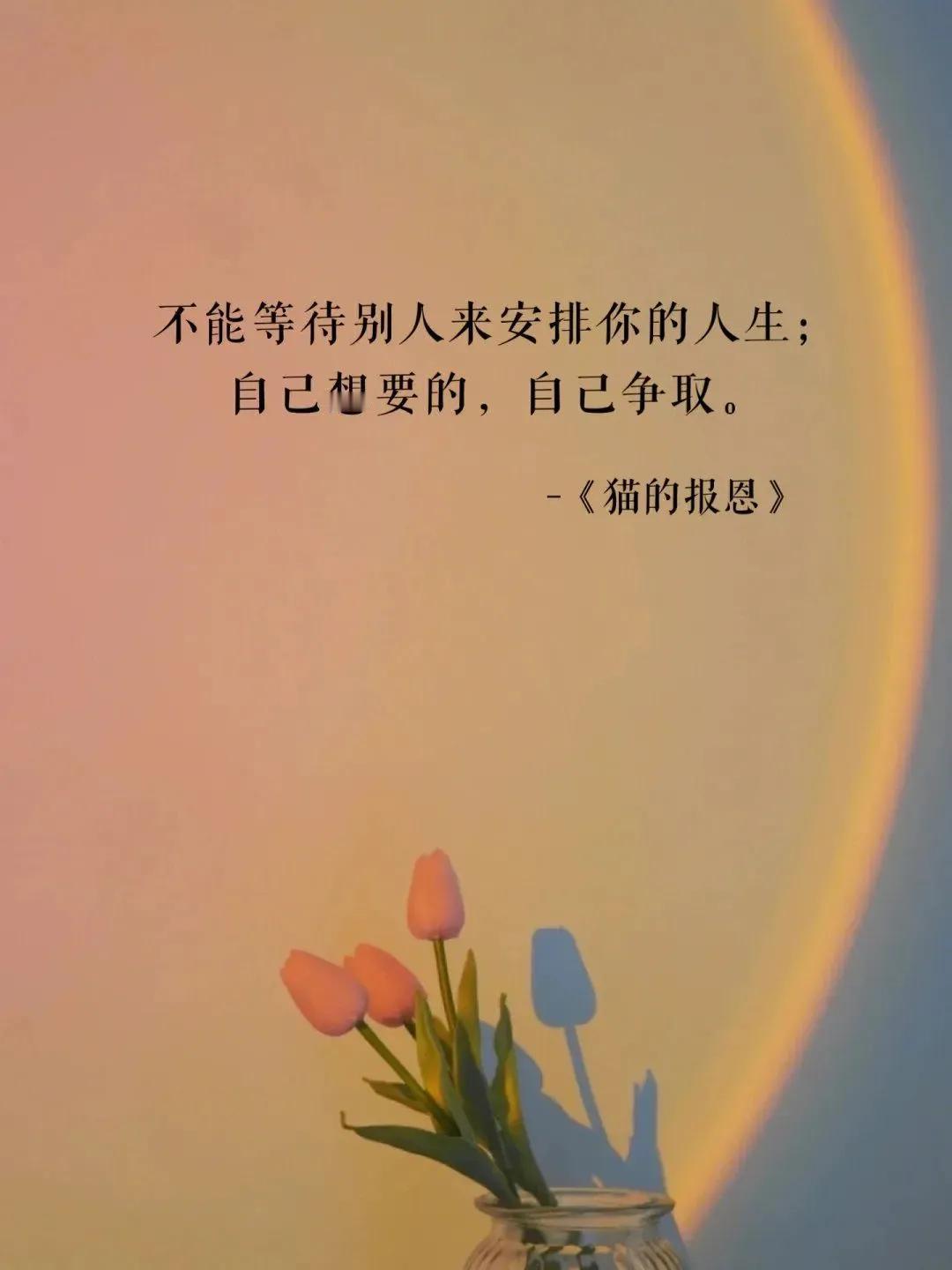 不能等待别人来安排你的人生；
自己想要的，自己争取。