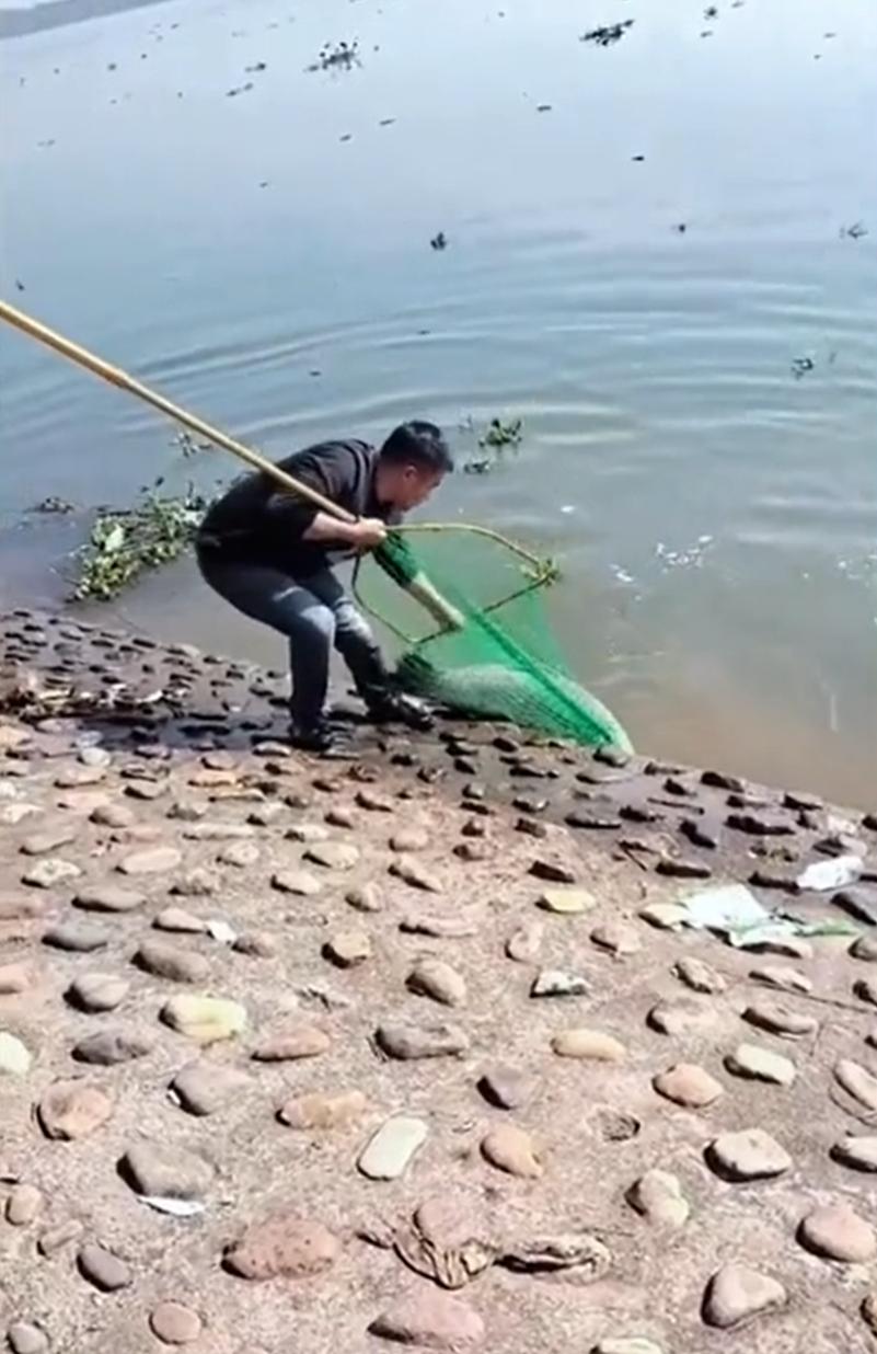 “这就是命啊！”浙江，一男子在河边钓鱼，好不容易钓到一条大鱼，兴奋的不行，谁知在