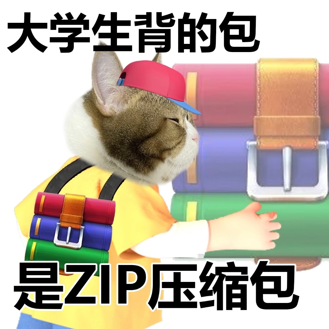 真实了[笑cry]大学生穿的T是PPT带的表是EXCEL表背的包是压缩包.ZIP