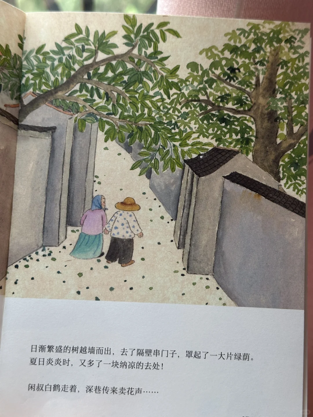 被这本书狠狠治愈，❤️真的好喜欢啊~