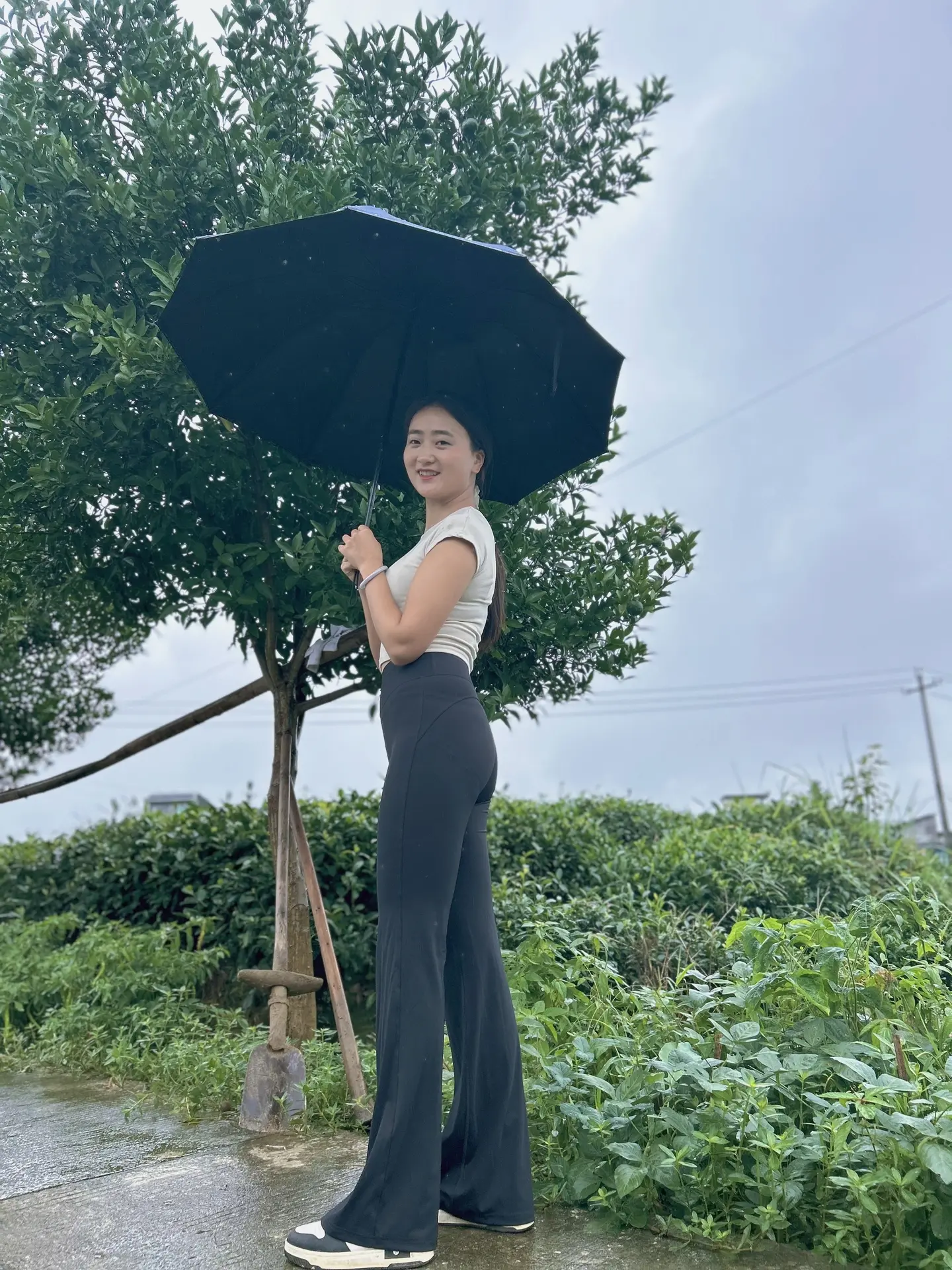 七夕的雨，大概是牛郎织女攒了一年的思念，终于落下来了