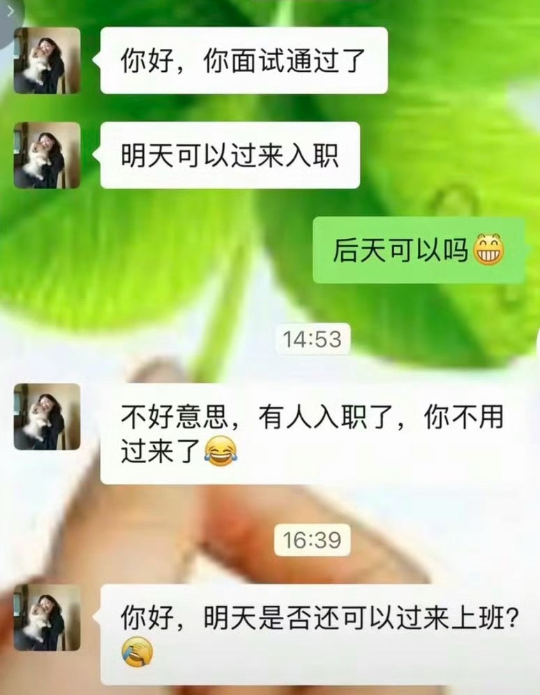 波丝直屁