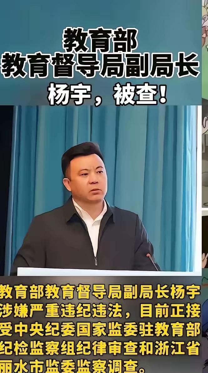 这些毒教材横行
根本不是毒教材横行
根本不是因为审核放松的问题，而是一次另类的侵