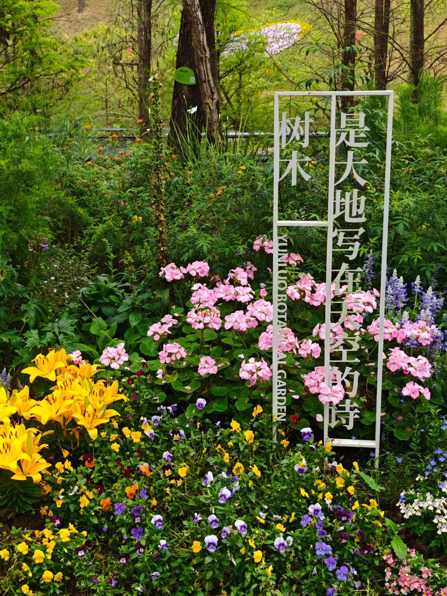 生活手记🌿 雨濛濛🌸 花正浓广州的春天，藏在每一片花瓣里[爱心] 