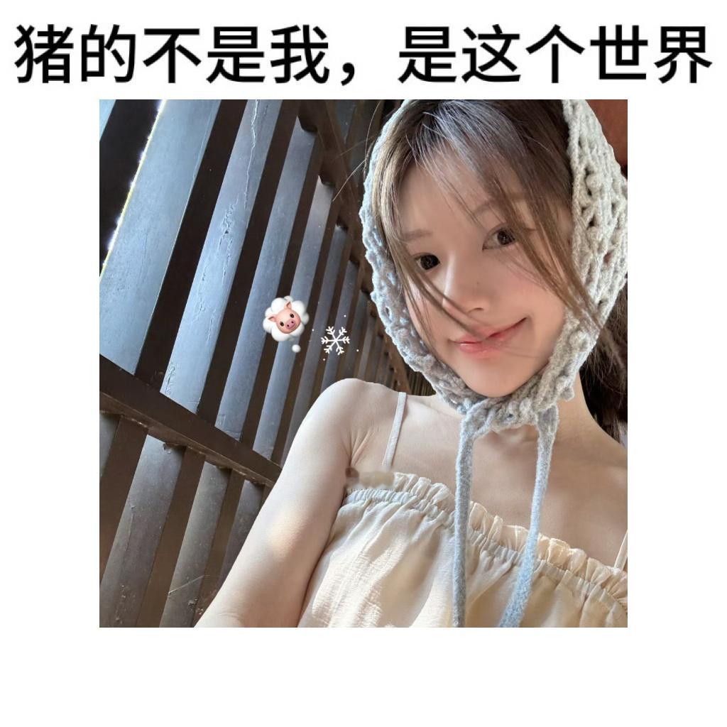 猪塑来也 
