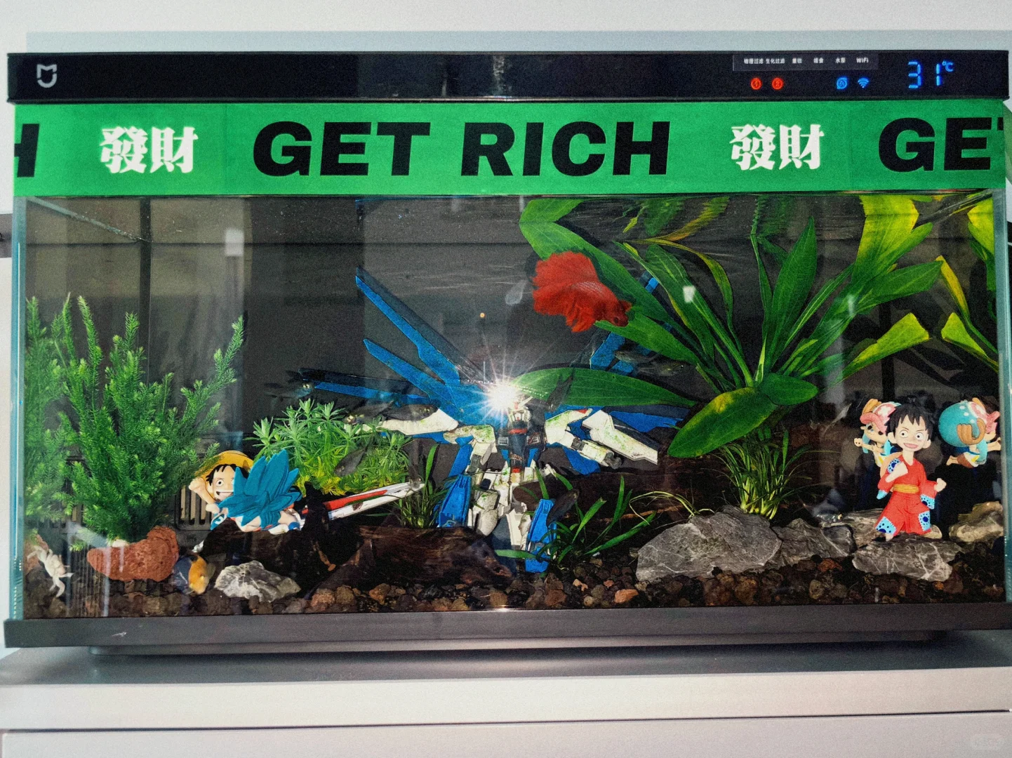 生活氮泵｜奇奇怪怪 可可爱爱🐟