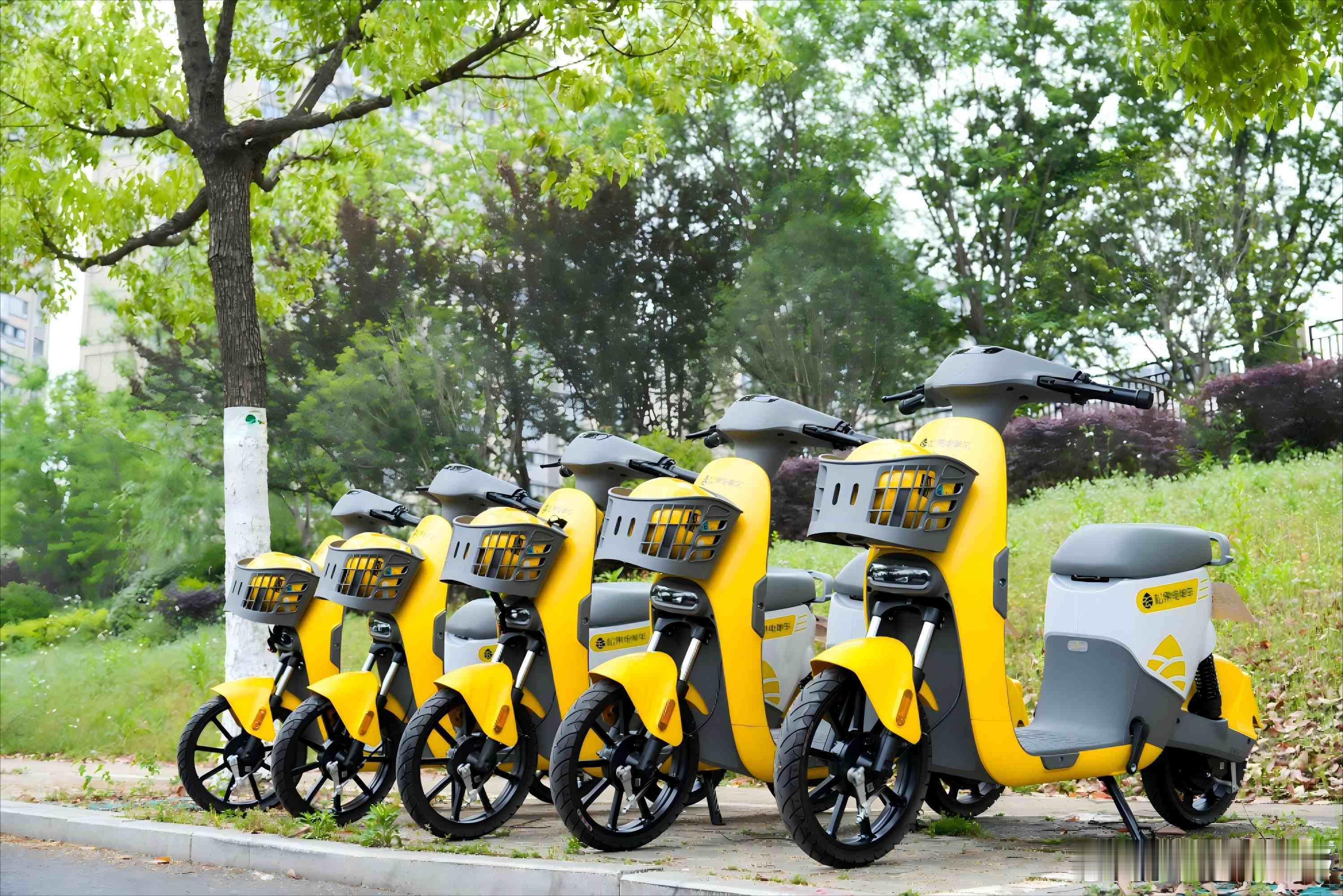 松果出行冲刺港交所，扭亏为盈的松果未来之路何在？据IPO早知道消息，Pineco