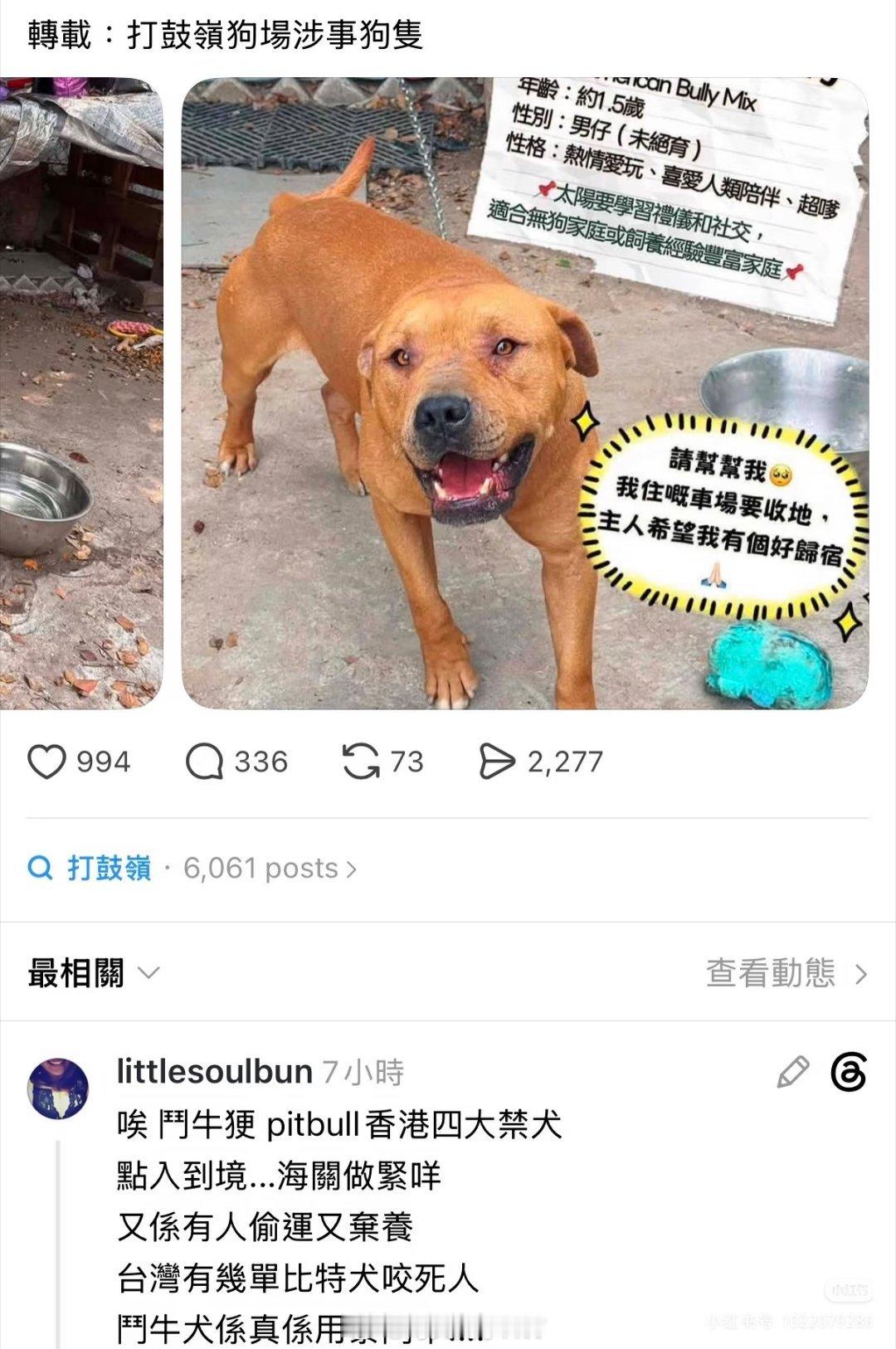 女子被30公斤大狗撕咬死亡还有没有人养比特犬？？又发生命案了有调查后发现不是唐狗