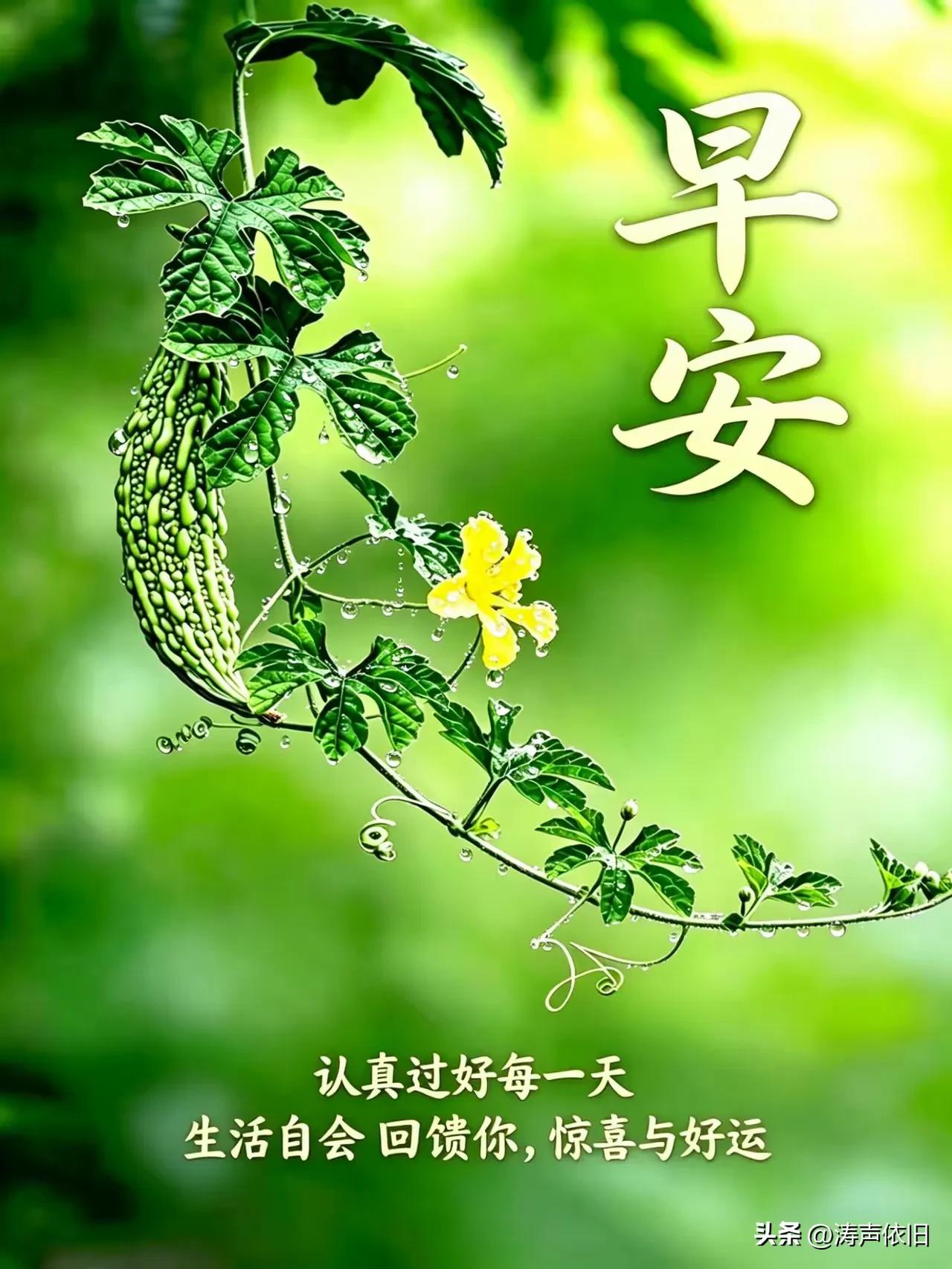 《如梦令·寄愿》

心纳晴光盈抱，
身伴清和常好。
知己共安闲，
岁岁福音相绕。