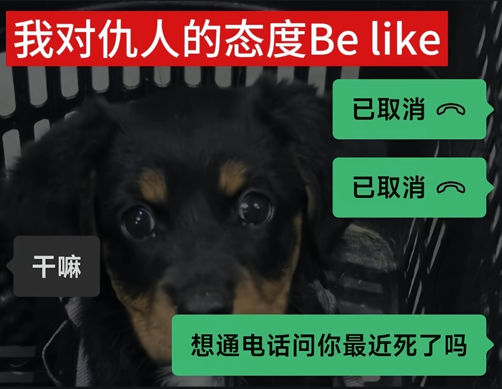 我对仇人的态度 ​​​