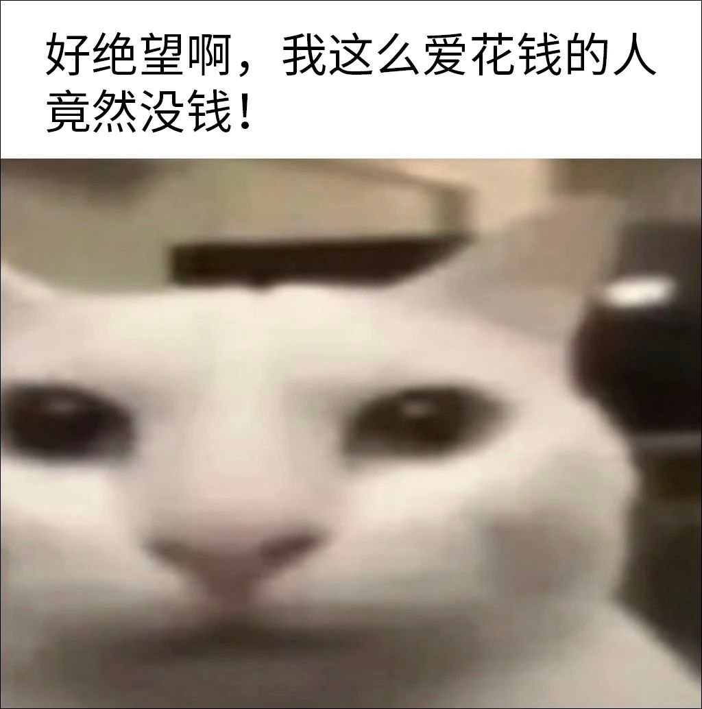 是啊好绝望 