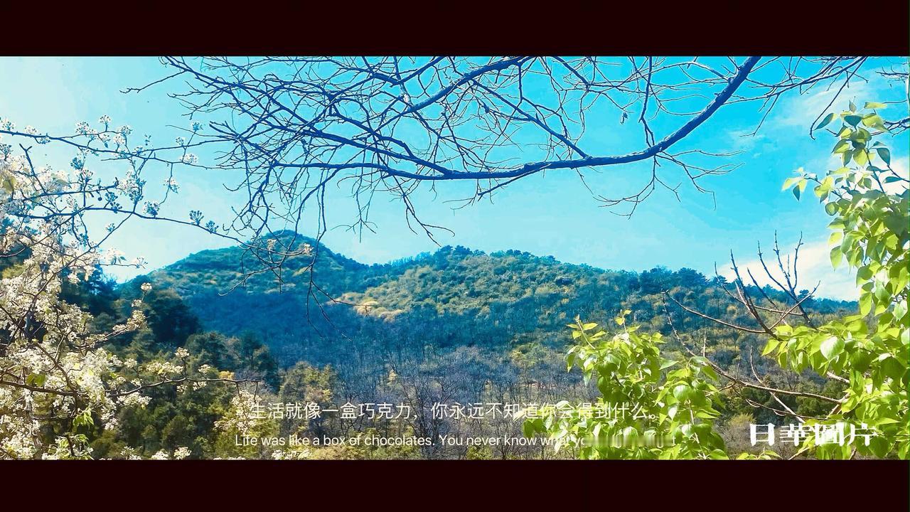 山外青山楼外楼，春风吹处是归舟。