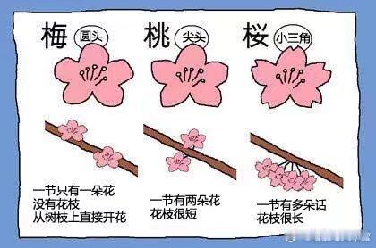 解决了我二十年以来的盲点 ​​​