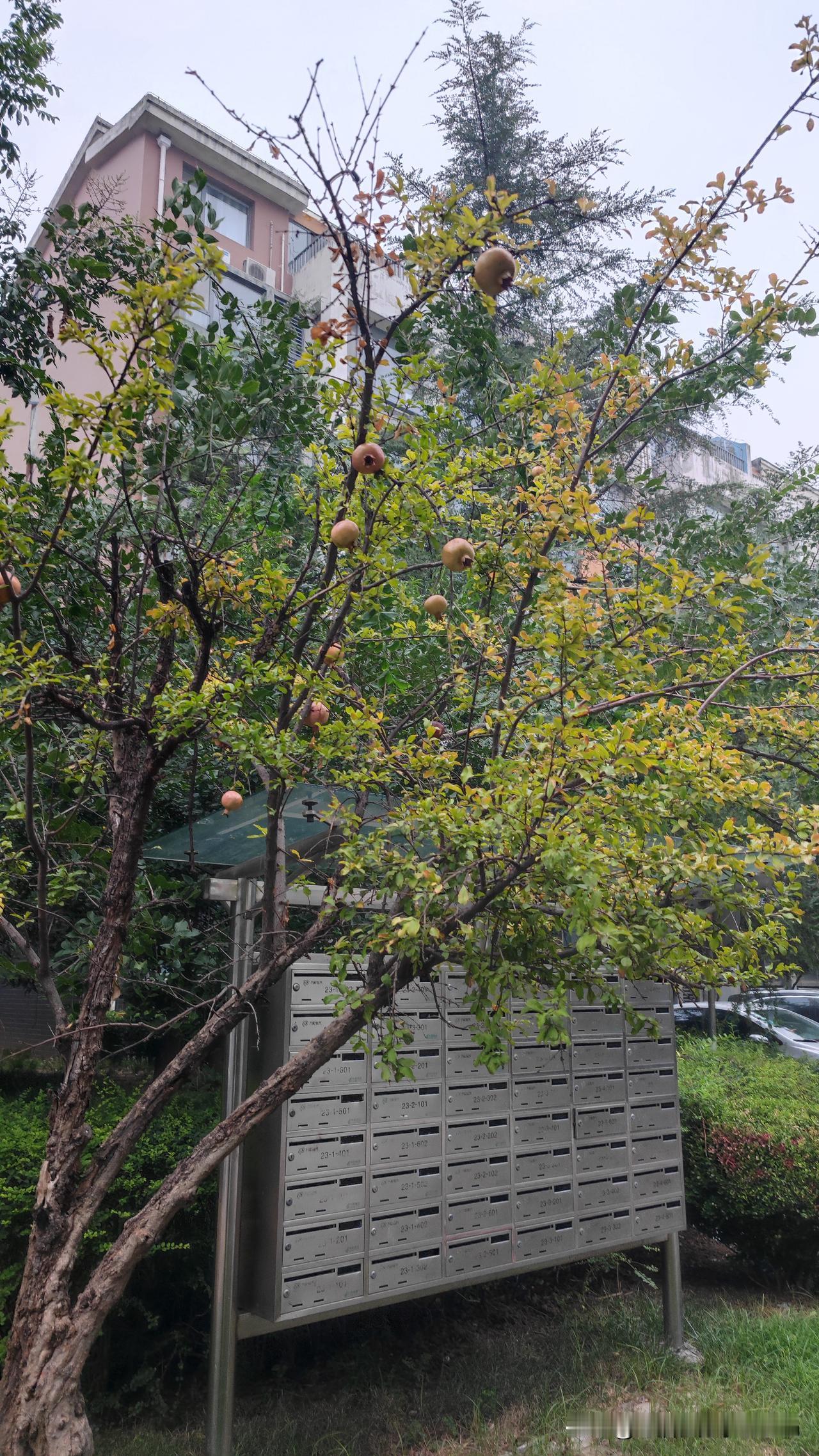 一线城市房价短期内“大幅上涨”的可能性极低，更可能是一个“逐步企稳、温和复苏”的