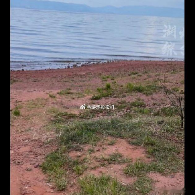 📸小红书旅游帖现在就是大型P图接力赛，你修一点我加一层，最后野坡变瑞士。有调查