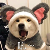 勇泽热看体育