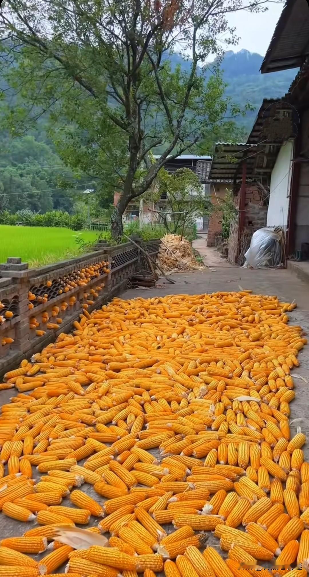 有个大学教授雇了个50岁的保姆，每月给6000块工资。时间一长，教授喜欢上保姆了