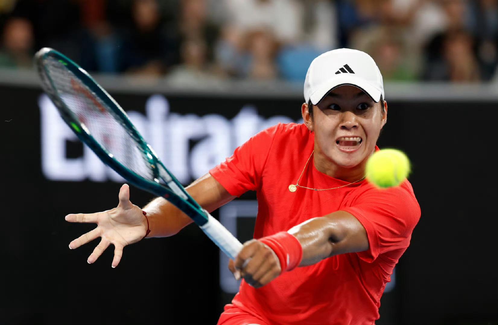 梅德韦杰夫无缘澳网32强  🧊  男单第二轮，5号种子梅德维德夫鏖战4小时49