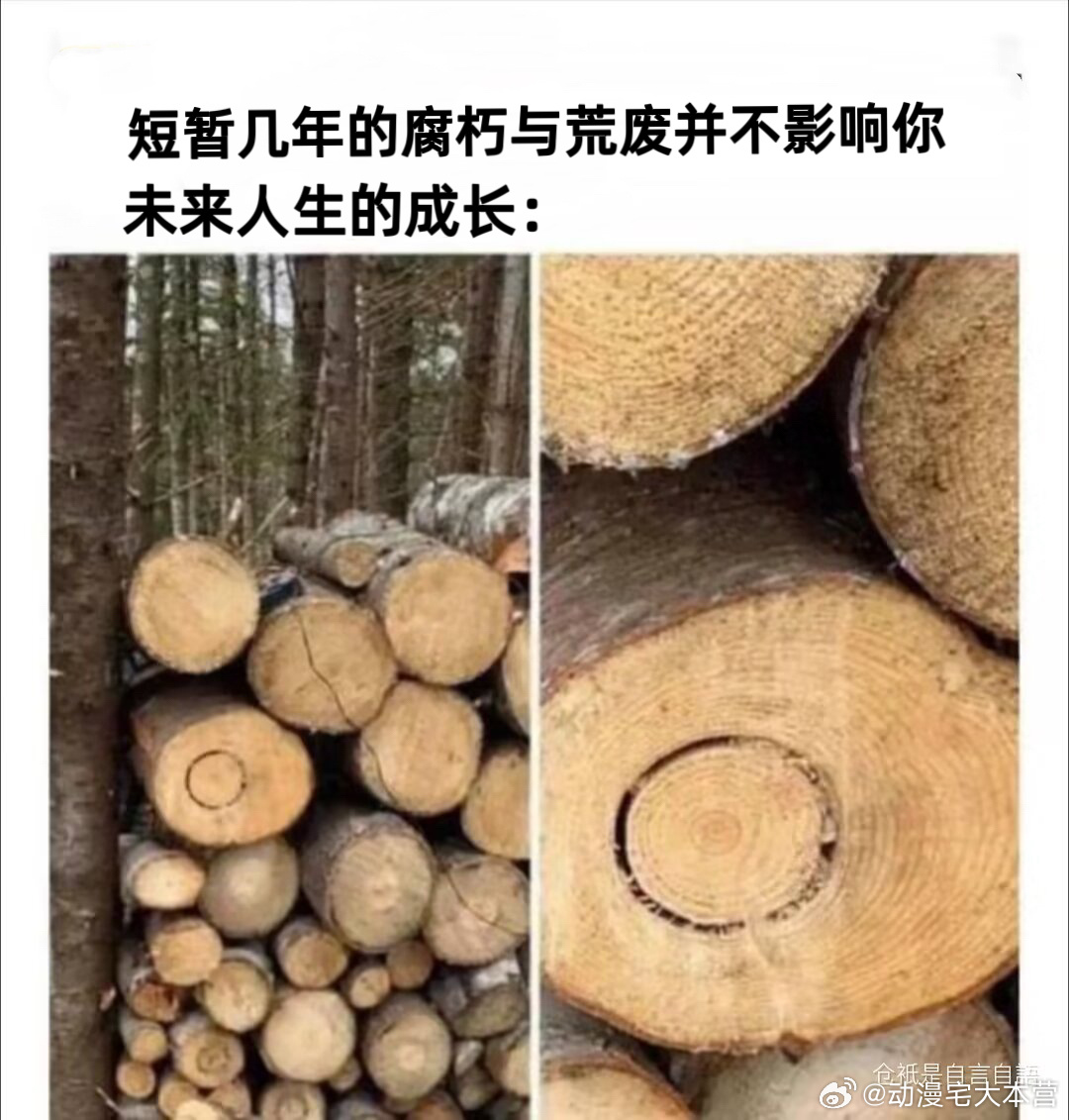 。。。。 ​​​