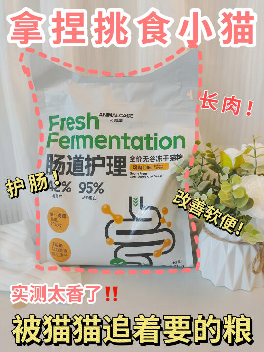 终于找到！我家猫抢着吃还长肉的宝藏粮
